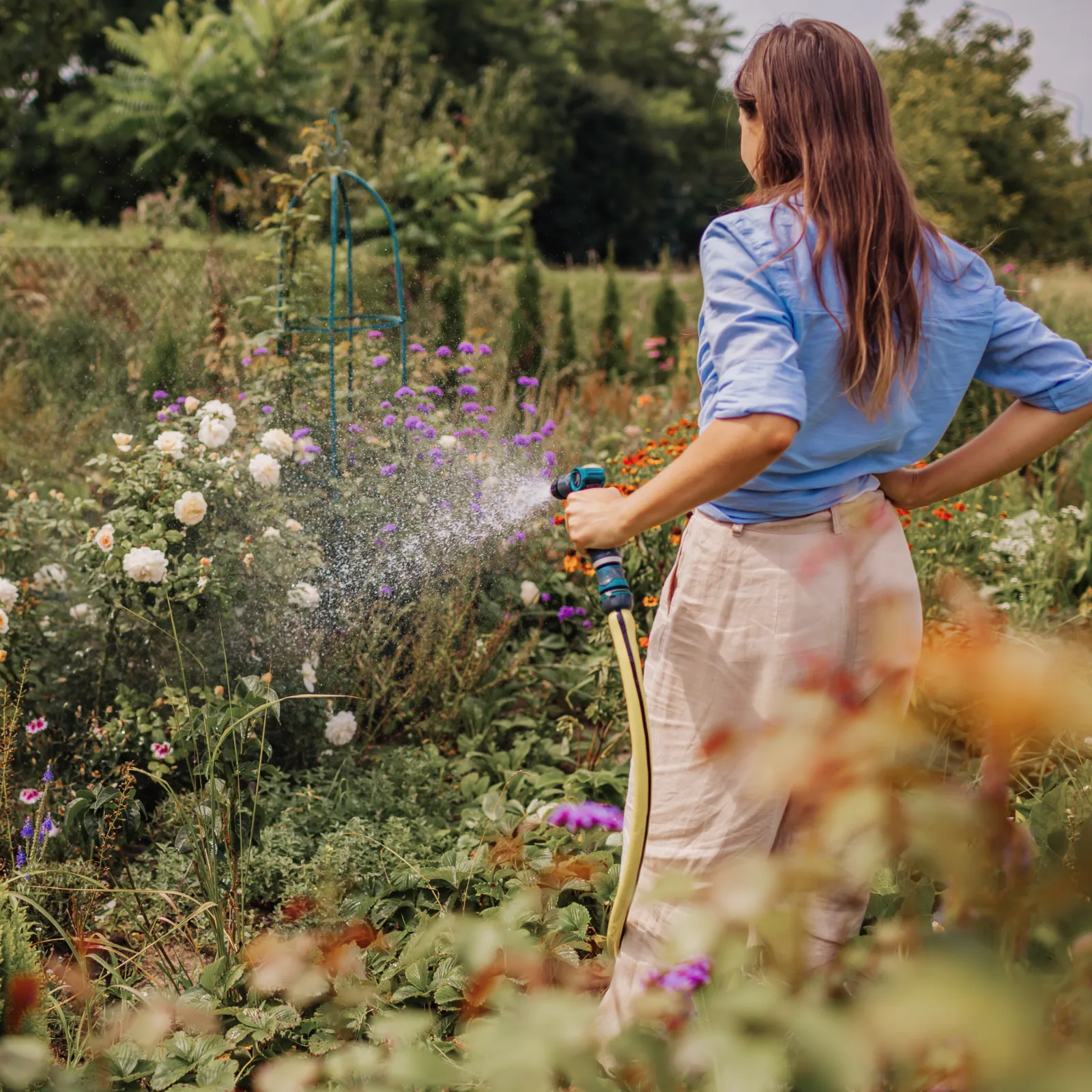 Woman in blue shirt watering a garden with colorful flowers using a hose.